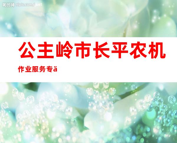 公主岭市长平农机作业服务专业合作社