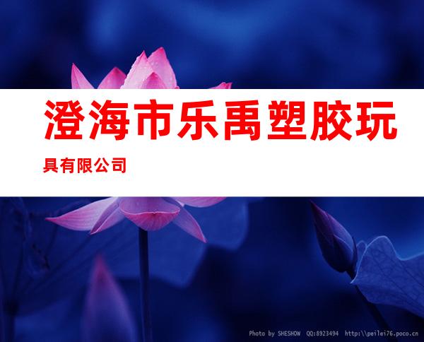 澄海市乐禹塑胶玩具有限公司